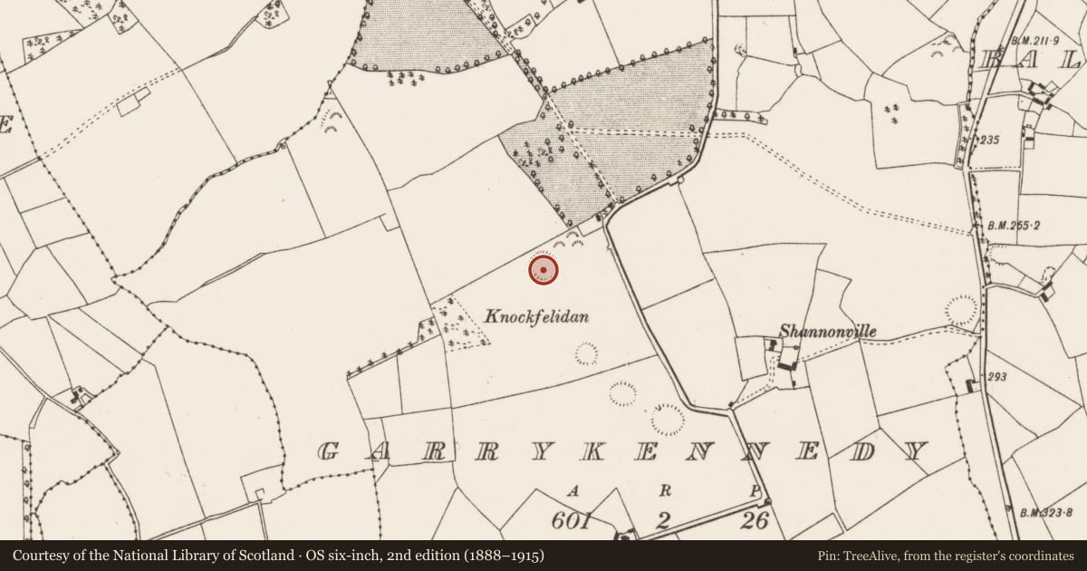 Ordnance Survey six-inch map, 2nd edition (1888–1915) covering the location of Ringfort - rath, Garrykennedy, County Tipperary North, with a pin at the register's coordinates