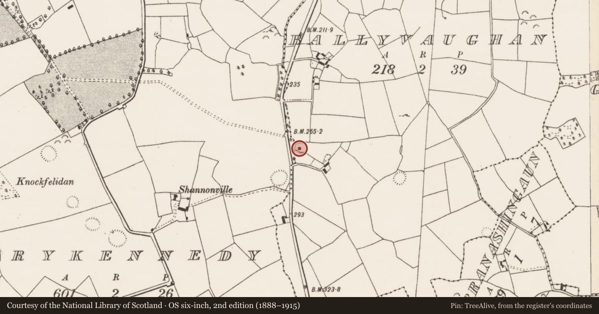 Ordnance Survey six-inch map, 2nd edition (1888–1915) covering the location of Ringfort - rath, Ballyvaughan (Castletownarra Par.), County Tipperary North, with a pin at the register's coordinates