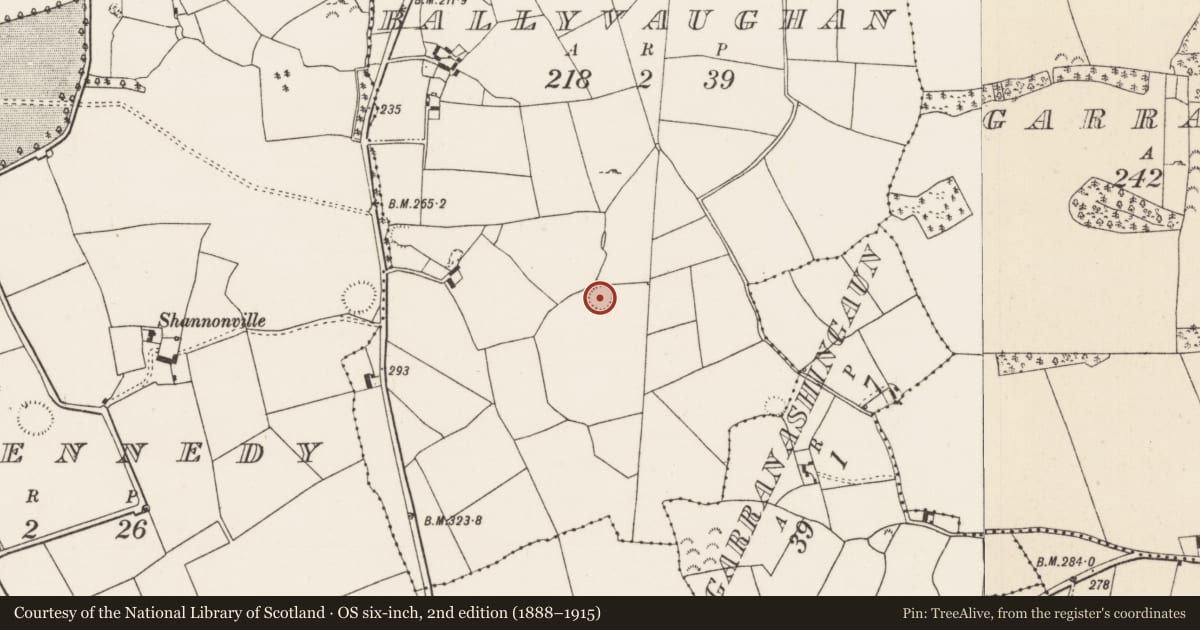 Ordnance Survey six-inch map, 2nd edition (1888–1915) covering the location of Ringfort - rath, Ballyvaughan (Castletownarra Par.), County Tipperary North, with a pin at the register's coordinates