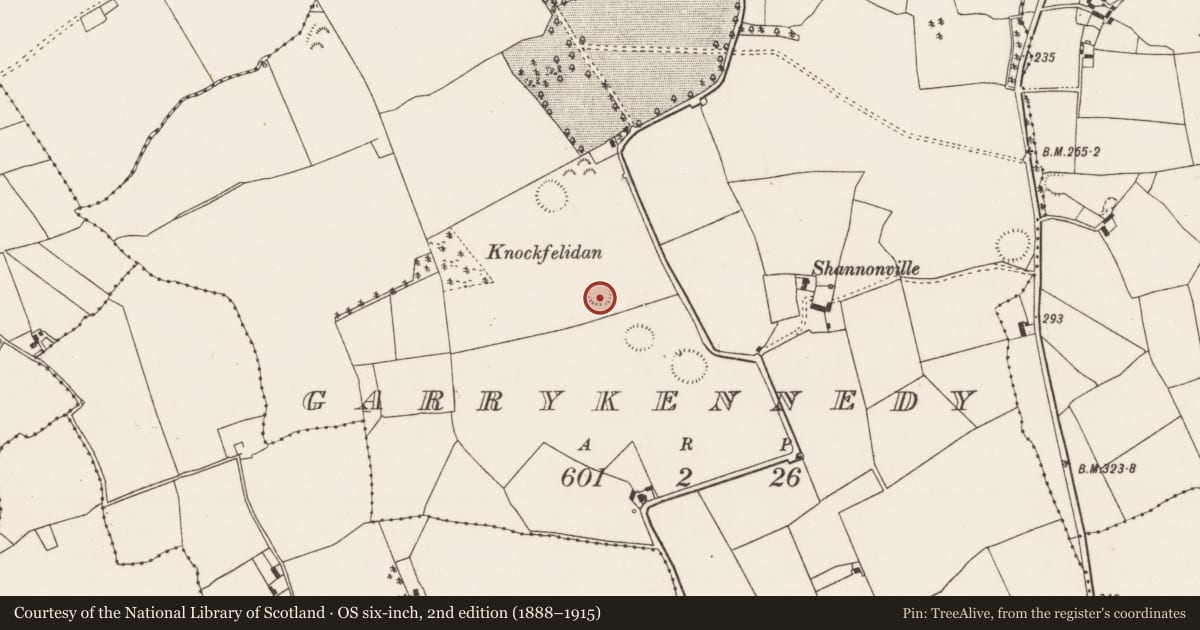 Ordnance Survey six-inch map, 2nd edition (1888–1915) covering the location of Ringfort - rath, Garrykennedy, County Tipperary North, with a pin at the register's coordinates