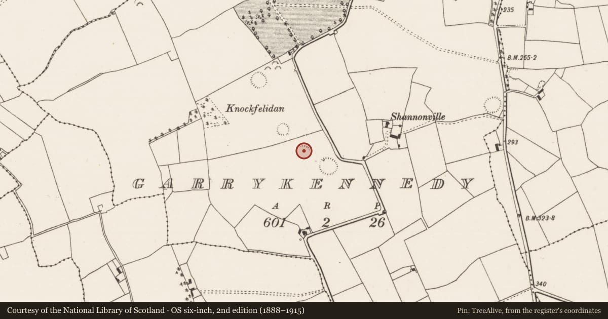 Ordnance Survey six-inch map, 2nd edition (1888–1915) covering the location of Ringfort - rath, Garrykennedy, County Tipperary North, with a pin at the register's coordinates