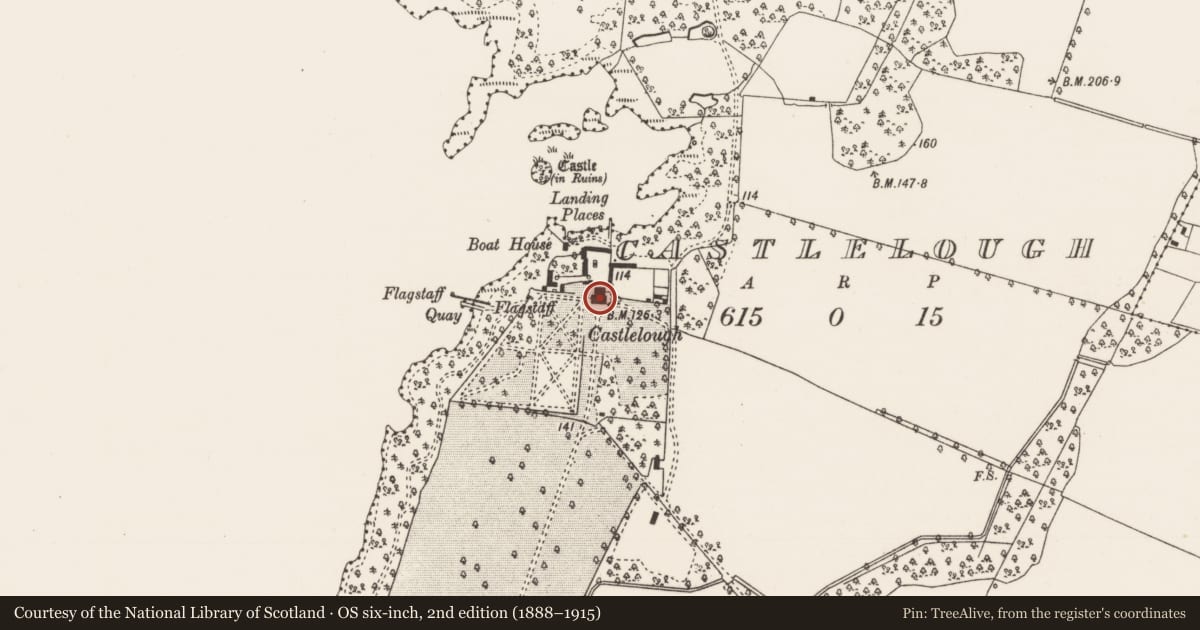 Ordnance Survey six-inch map, 2nd edition (1888–1915) covering the location of House - indeterminate date, Castlelough, County Tipperary North, with a pin at the register's coordinates