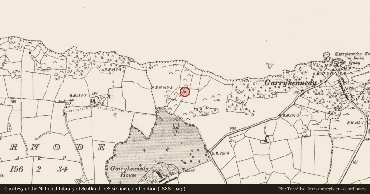 Ordnance Survey six-inch map, 2nd edition (1888–1915) covering the location of Mine, Garrykennedy, County Tipperary North, with a pin at the register's coordinates