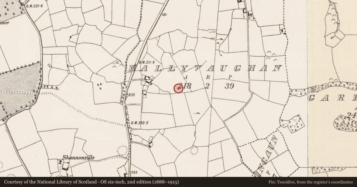 Ordnance Survey six-inch map, 2nd edition (1888–1915) covering the location of Ring-ditch, Ballyvaughan (Castletownarra Par.), County Tipperary North, with a pin at the register's coordinates