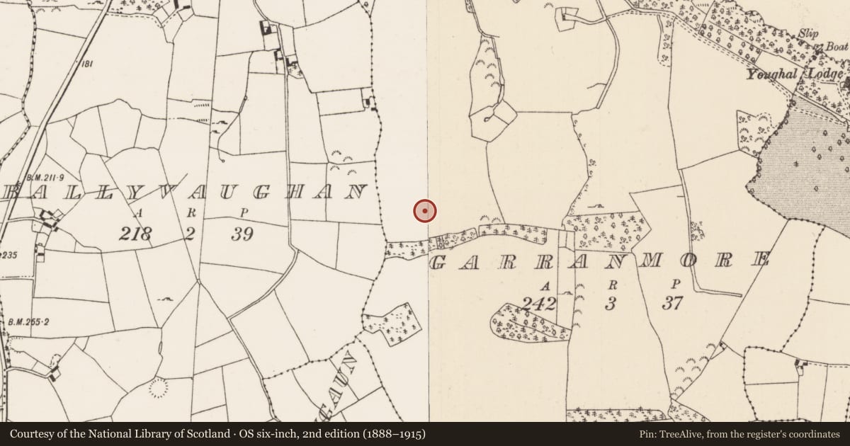 Ordnance Survey six-inch map, 2nd edition (1888–1915) covering the location of Standing stone, Garranmore (Youghalarra Par.), County Tipperary North, with a pin at the register's coordinates