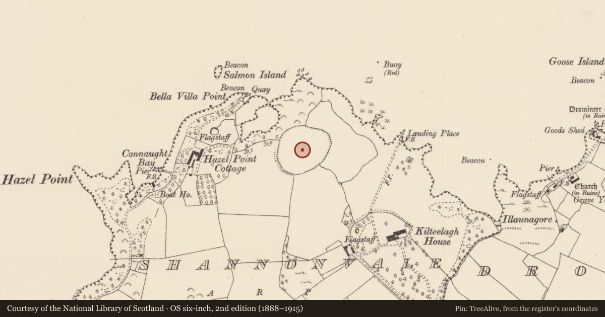 Ordnance Survey six-inch map, 2nd edition (1888–1915) covering the location of Enclosure, Shannonvale, County Tipperary North, with a pin at the register's coordinates