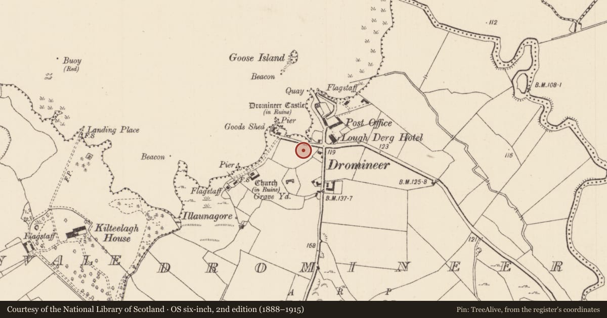 Ordnance Survey six-inch map, 2nd edition (1888–1915) covering the location of Settlement deserted - medieval, Dromineer, County Tipperary North, with a pin at the register's coordinates