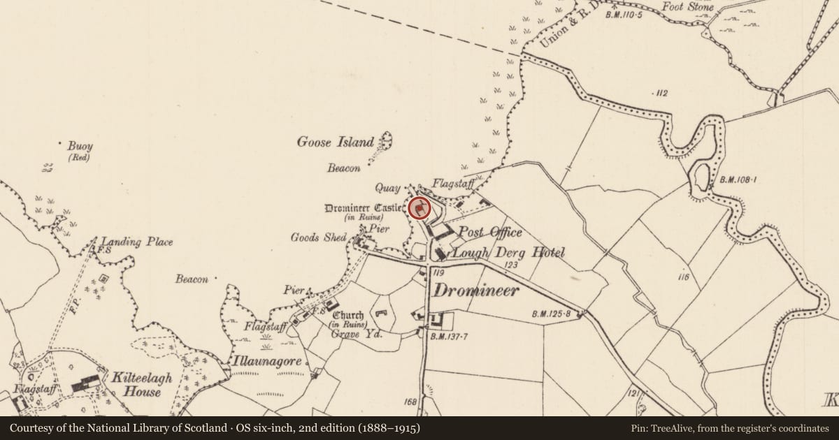 Ordnance Survey six-inch map, 2nd edition (1888–1915) covering the location of Castle - hall-house, Dromineer, County Tipperary North, with a pin at the register's coordinates