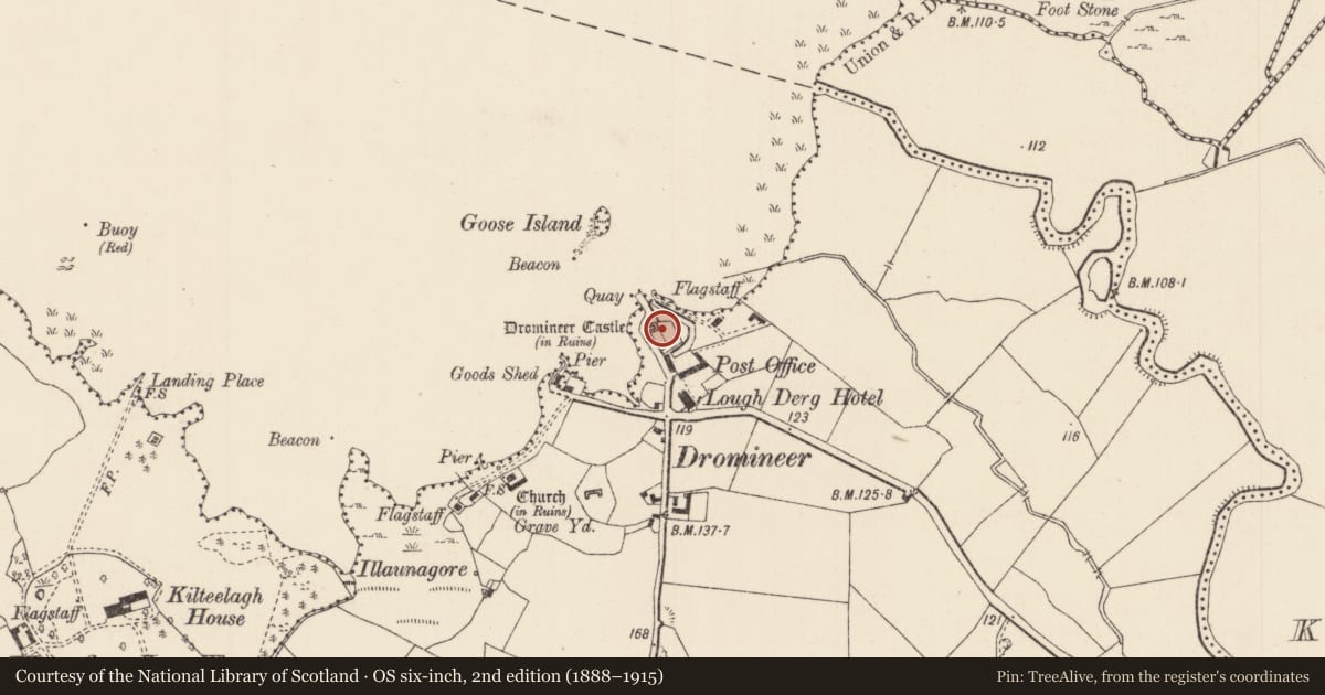 Ordnance Survey six-inch map, 2nd edition (1888–1915) covering the location of Bawn, Dromineer, County Tipperary North, with a pin at the register's coordinates