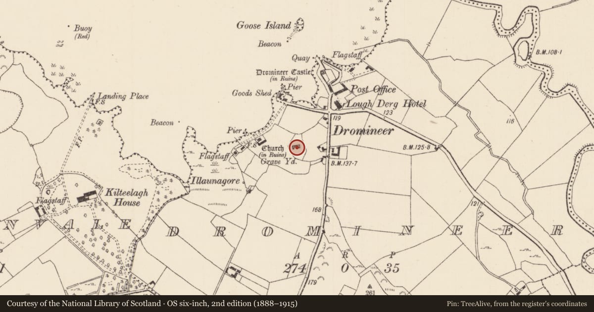Ordnance Survey six-inch map, 2nd edition (1888–1915) covering the location of Church, Dromineer, County Tipperary North, with a pin at the register's coordinates