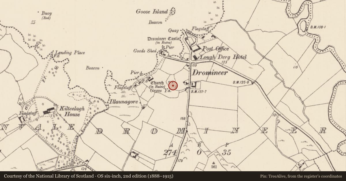 Ordnance Survey six-inch map, 2nd edition (1888–1915) covering the location of Graveyard, Dromineer, County Tipperary North, with a pin at the register's coordinates