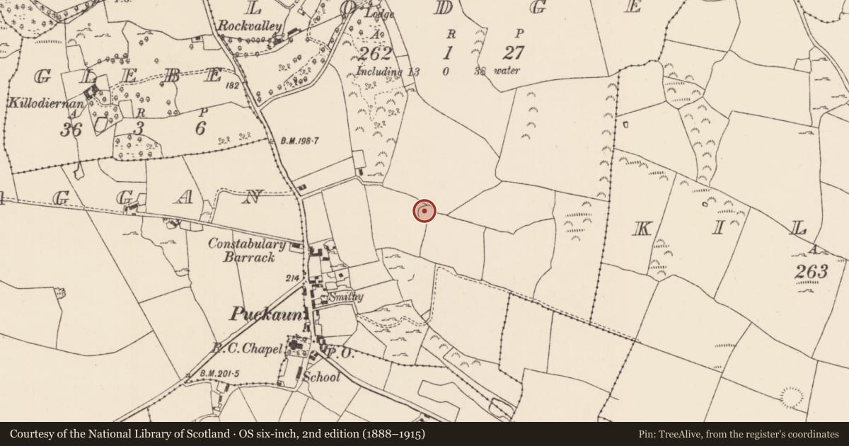 Ordnance Survey six-inch map, 2nd edition (1888–1915) covering the location of Ringfort - cashel, Lodge (Killodiernan Par.), County Tipperary North, with a pin at the register's coordinates