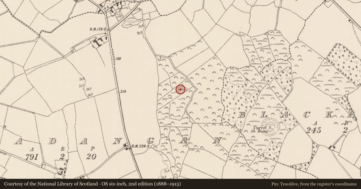 Ordnance Survey six-inch map, 2nd edition (1888–1915) covering the location of Enclosure, Killadangan, County Tipperary North, with a pin at the register's coordinates