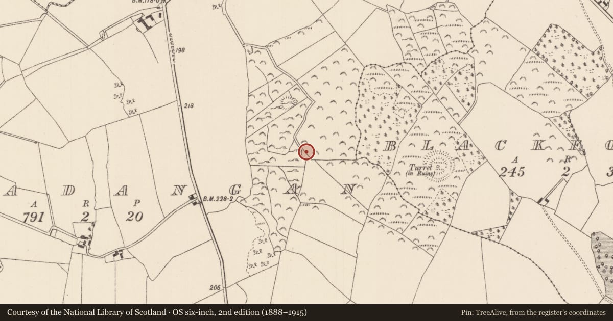 Ordnance Survey six-inch map, 2nd edition (1888–1915) covering the location of Ringfort - rath, Killadangan, County Tipperary North, with a pin at the register's coordinates
