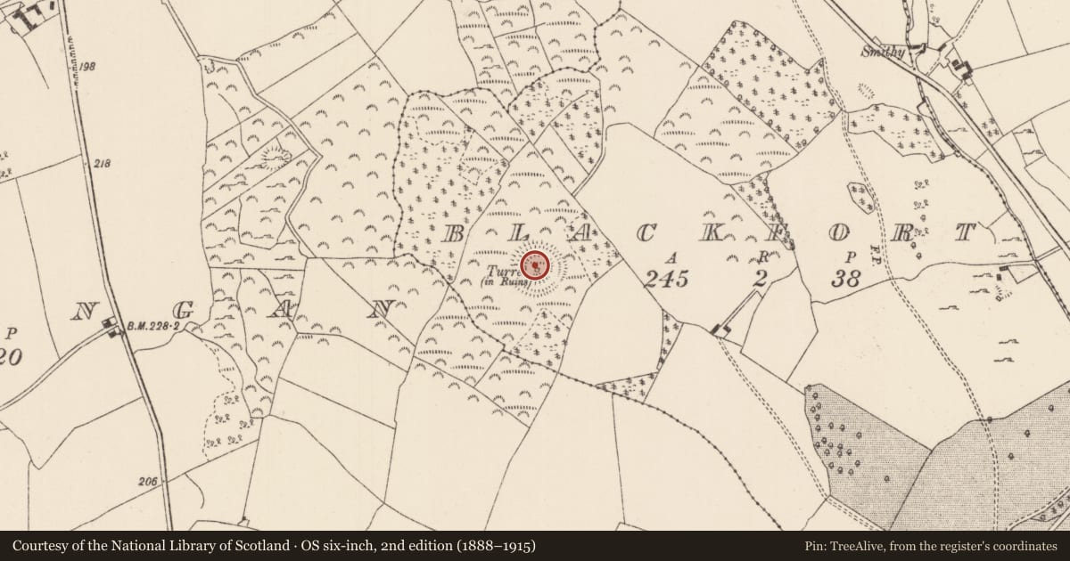 Ordnance Survey six-inch map, 2nd edition (1888–1915) covering the location of Designed landscape - belvedere, Blackfort, County Tipperary North, with a pin at the register's coordinates