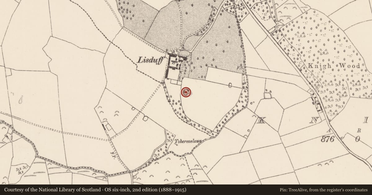Ordnance Survey six-inch map, 2nd edition (1888–1915) covering the location of Ringfort - rath, Blackfort, County Tipperary North, with a pin at the register's coordinates