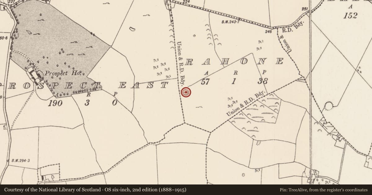 Ordnance Survey six-inch map, 2nd edition (1888–1915) covering the location of Ringfort - rath, Rahone, County Tipperary North, with a pin at the register's coordinates