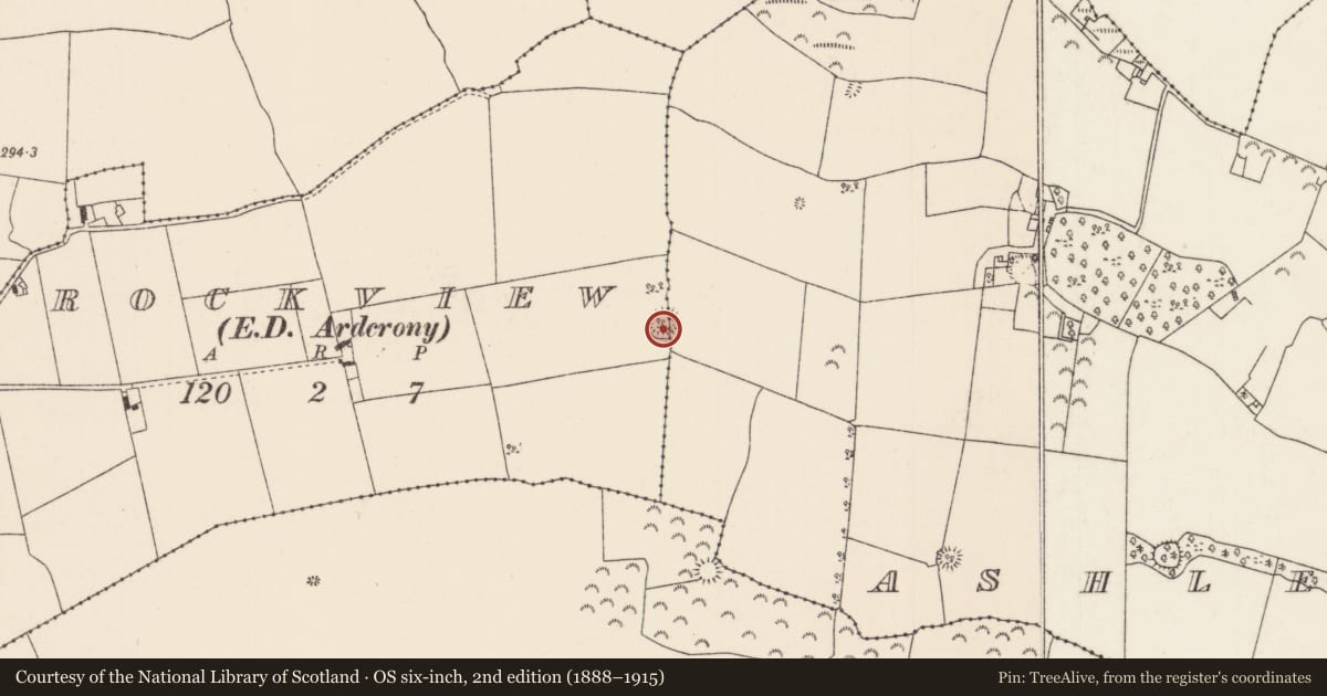 Ordnance Survey six-inch map, 2nd edition (1888–1915) covering the location of Ringfort - rath, Ashleypark (Knigh Par.), Rockview (Knigh Par.), County Tipperary North, with a pin at the register's coordinates