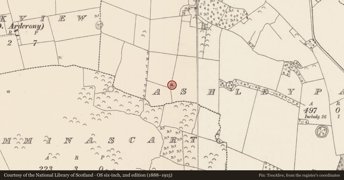 Ordnance Survey six-inch map, 2nd edition (1888–1915) covering the location of Ringfort - rath, Ashleypark (Ardcrony Par.), County Tipperary North, with a pin at the register's coordinates