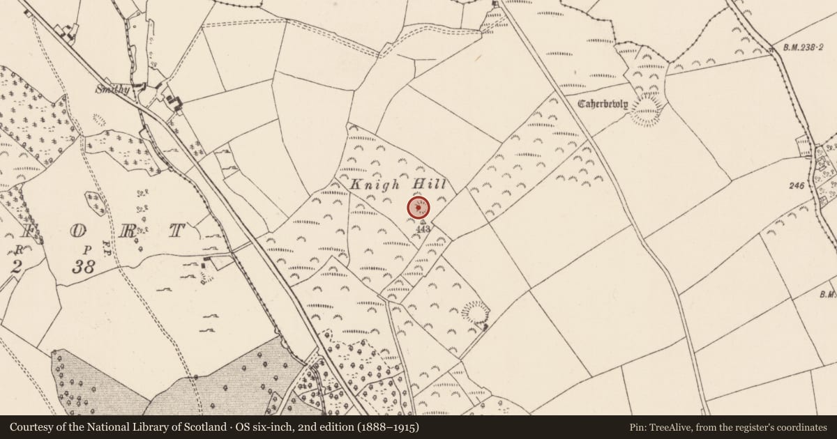 Ordnance Survey six-inch map, 2nd edition (1888–1915) covering the location of Enclosure, Knigh, County Tipperary North, with a pin at the register's coordinates
