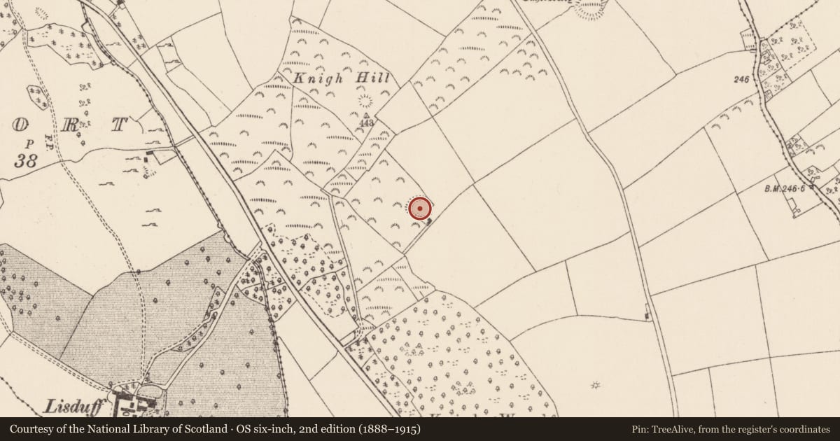 Ordnance Survey six-inch map, 2nd edition (1888–1915) covering the location of Ringfort - rath, Knigh, County Tipperary North, with a pin at the register's coordinates