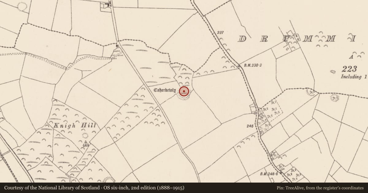 Ordnance Survey six-inch map, 2nd edition (1888–1915) covering the location of Ringfort - cashel, Knigh, County Tipperary North, with a pin at the register's coordinates