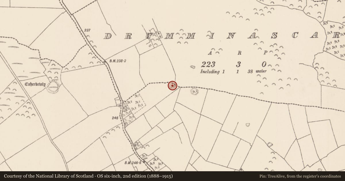 Ordnance Survey six-inch map, 2nd edition (1888–1915) covering the location of Ringfort - rath, Drumminascart, Loughourna, County Tipperary North, with a pin at the register's coordinates