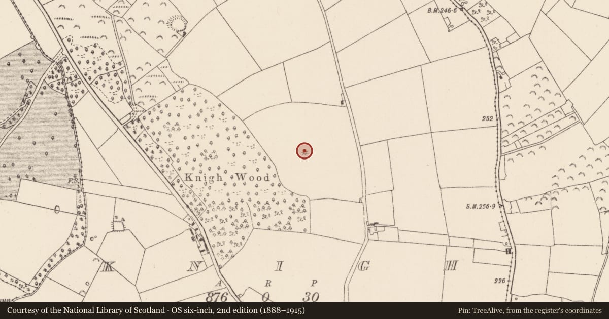 Ordnance Survey six-inch map, 2nd edition (1888–1915) covering the location of Cairn - unclassified, Knigh, County Tipperary North, with a pin at the register's coordinates
