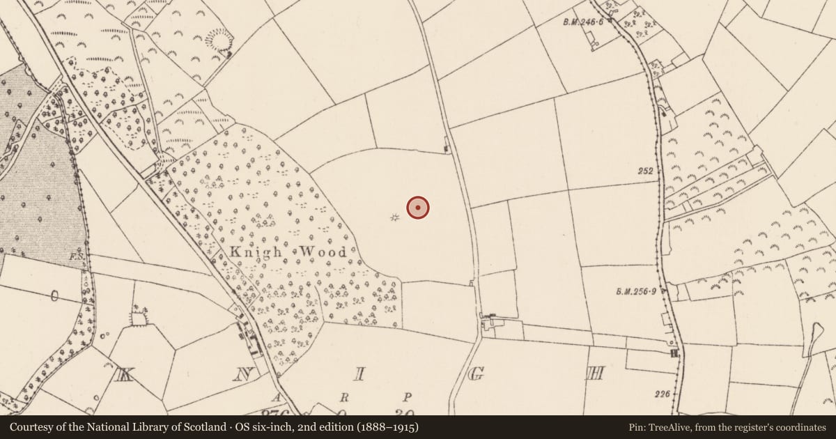 Ordnance Survey six-inch map, 2nd edition (1888–1915) covering the location of Hillfort, Knigh, County Tipperary North, with a pin at the register's coordinates