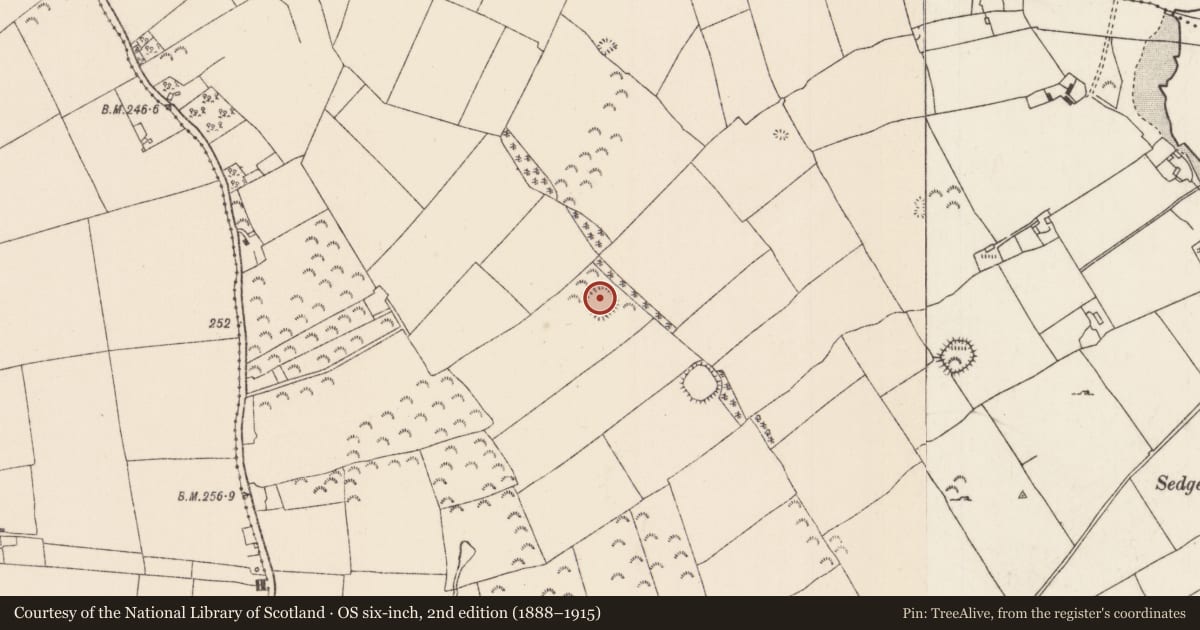 Ordnance Survey six-inch map, 2nd edition (1888–1915) covering the location of Ringfort - rath, Loughourna, County Tipperary North, with a pin at the register's coordinates