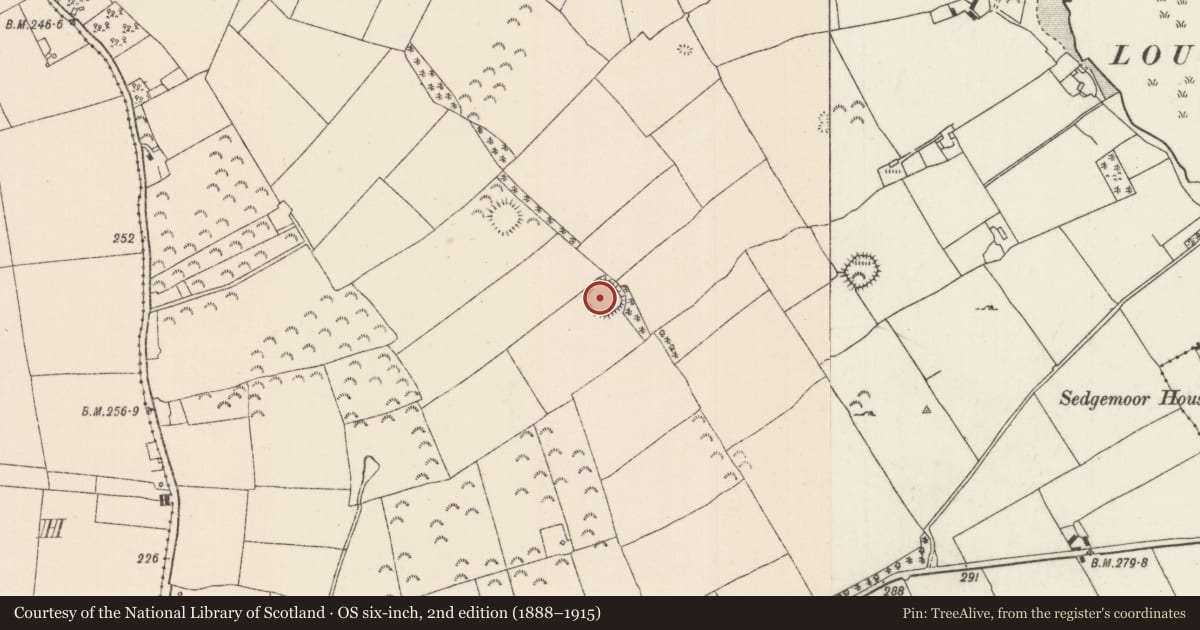Ordnance Survey six-inch map, 2nd edition (1888–1915) covering the location of Ringfort - rath, Loughourna, County Tipperary North, with a pin at the register's coordinates