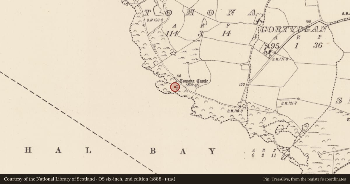 Ordnance Survey six-inch map, 2nd edition (1888–1915) covering the location of Settlement deserted - medieval, Tomona, County Tipperary North, with a pin at the register's coordinates