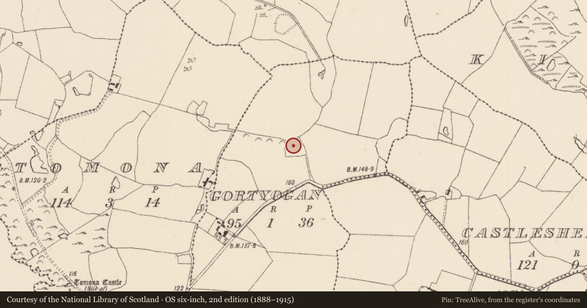 Ordnance Survey six-inch map, 2nd edition (1888–1915) covering the location of Ringfort - rath, Gortyogan, County Tipperary North, with a pin at the register's coordinates