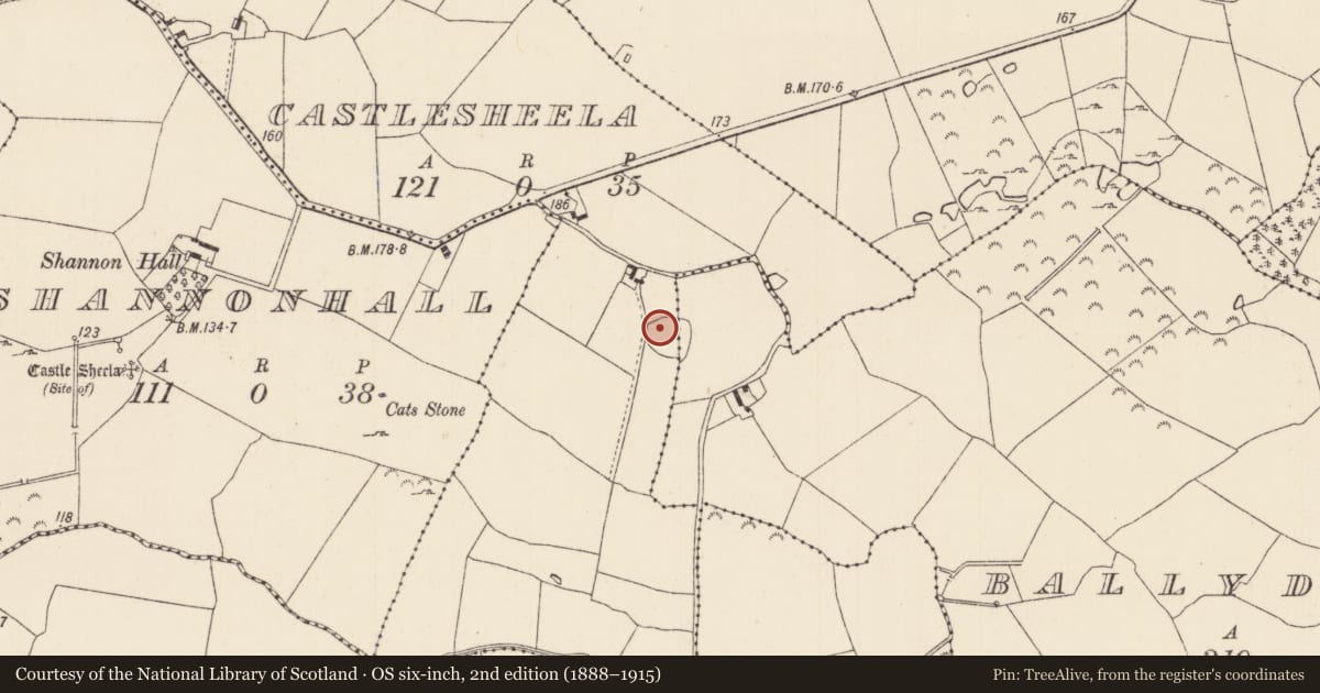 Ordnance Survey six-inch map, 2nd edition (1888–1915) covering the location of Ringfort - rath, Ballydrinan (Dromineer Par.), Castlesheela, County Tipperary North, with a pin at the register's coordinates