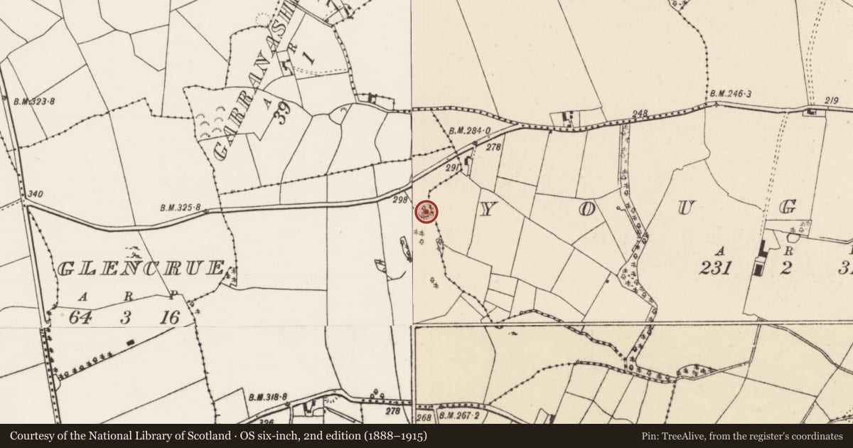 Ordnance Survey six-inch map, 2nd edition (1888–1915) covering the location of Ringfort - rath, Cloneygowny, Youghal, County Tipperary North, with a pin at the register's coordinates