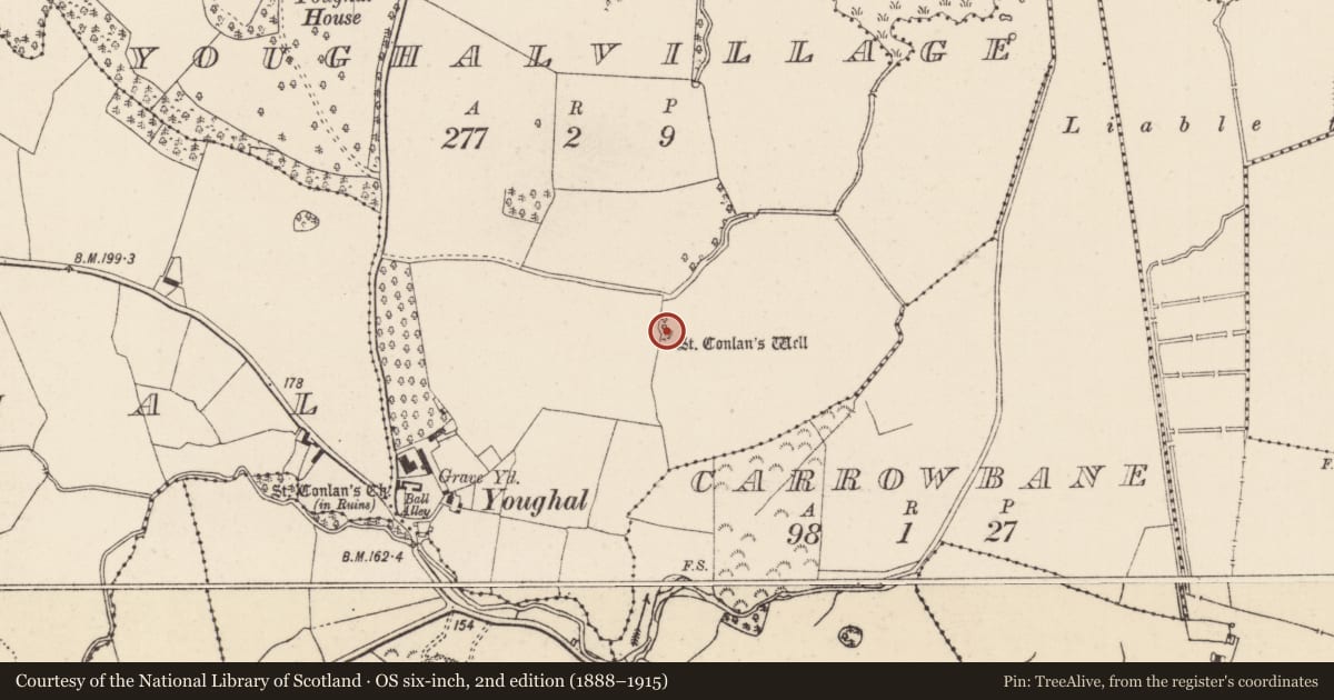Ordnance Survey six-inch map, 2nd edition (1888–1915) covering the location of Ritual site - holy well, Youghalvillage, County Tipperary North, with a pin at the register's coordinates