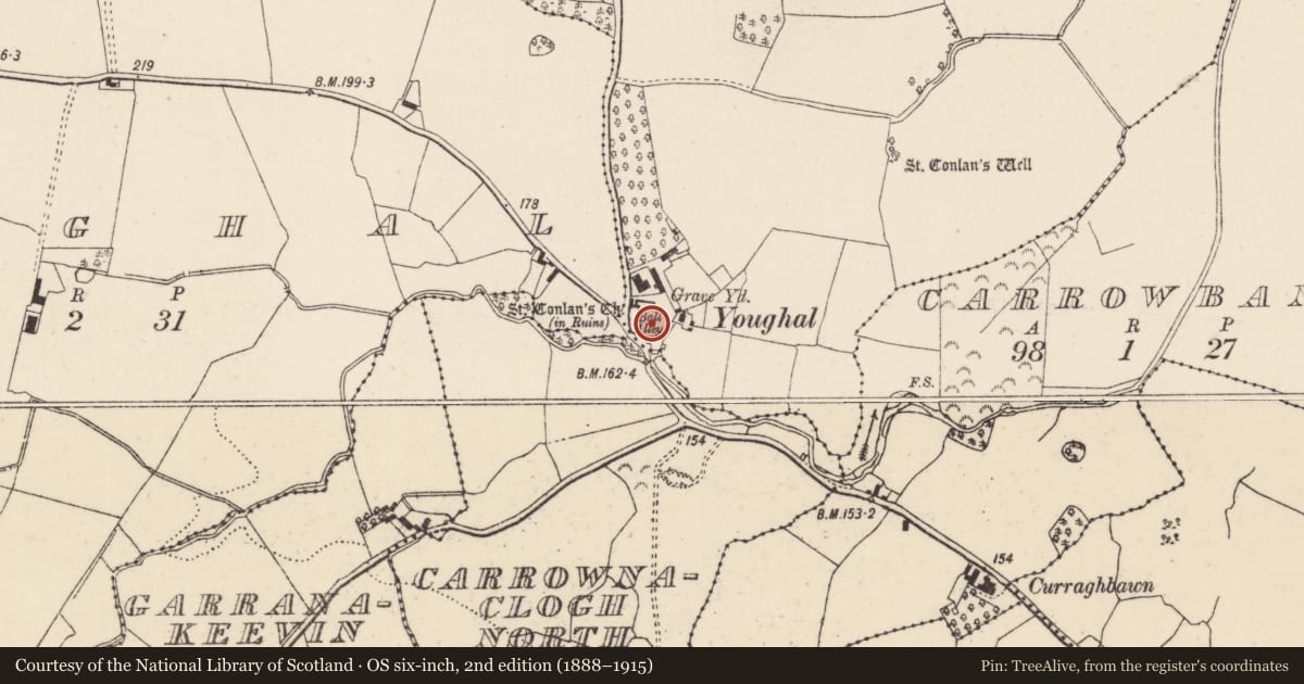 Ordnance Survey six-inch map, 2nd edition (1888–1915) covering the location of Graveyard, Youghalvillage, County Tipperary North, with a pin at the register's coordinates