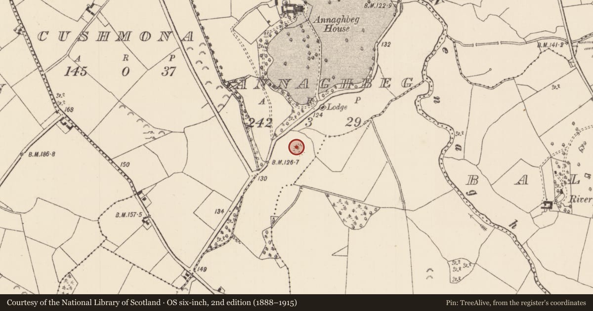 Ordnance Survey six-inch map, 2nd edition (1888–1915) covering the location of Enclosure, Annaghbeg, County Tipperary North, with a pin at the register's coordinates
