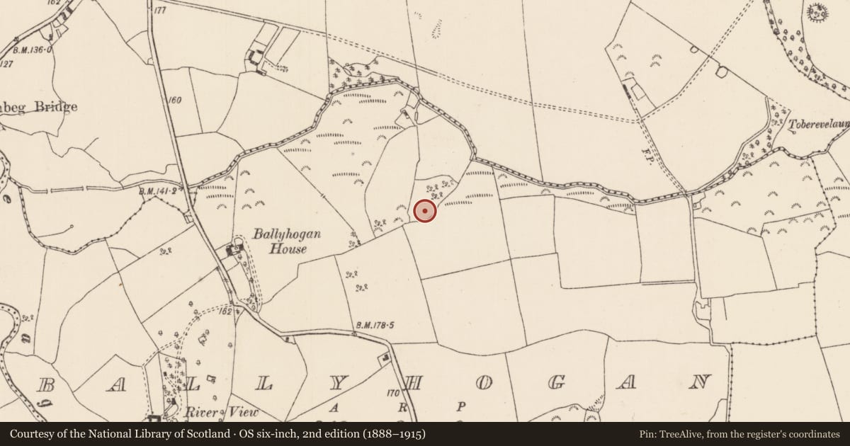 Ordnance Survey six-inch map, 2nd edition (1888–1915) covering the location of Children's burial ground, Ballyhogan (Knigh Par.), County Tipperary North, with a pin at the register's coordinates