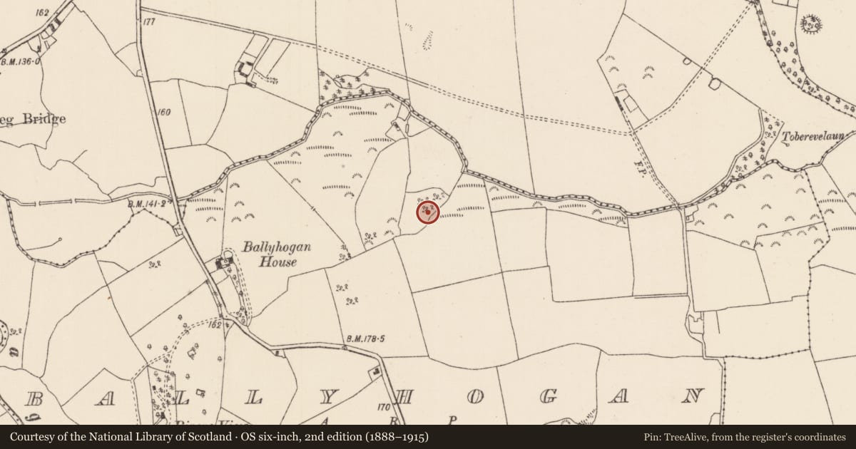 Ordnance Survey six-inch map, 2nd edition (1888–1915) covering the location of Ringfort - rath, Ballyhogan (Knigh Par.), County Tipperary North, with a pin at the register's coordinates