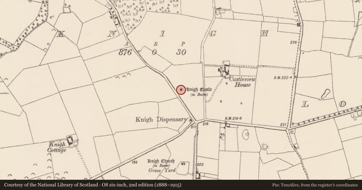 Ordnance Survey six-inch map, 2nd edition (1888–1915) covering the location of Castle - tower house, Knigh, County Tipperary North, with a pin at the register's coordinates