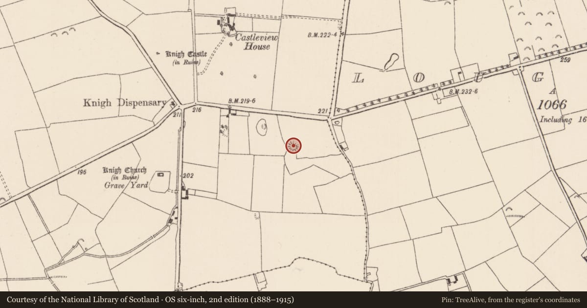 Ordnance Survey six-inch map, 2nd edition (1888–1915) covering the location of Barrow - bowl-barrow, Knigh, County Tipperary North, with a pin at the register's coordinates