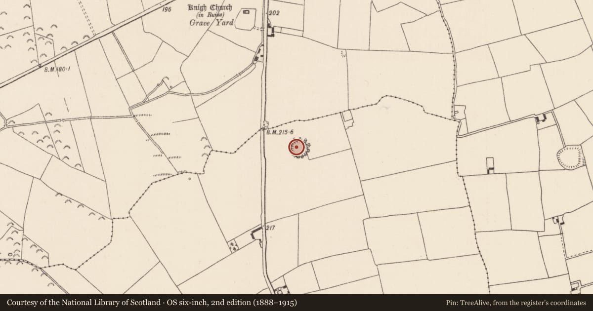 Ordnance Survey six-inch map, 2nd edition (1888–1915) covering the location of Ringfort - rath, Ballyanny Lower, County Tipperary North, with a pin at the register's coordinates