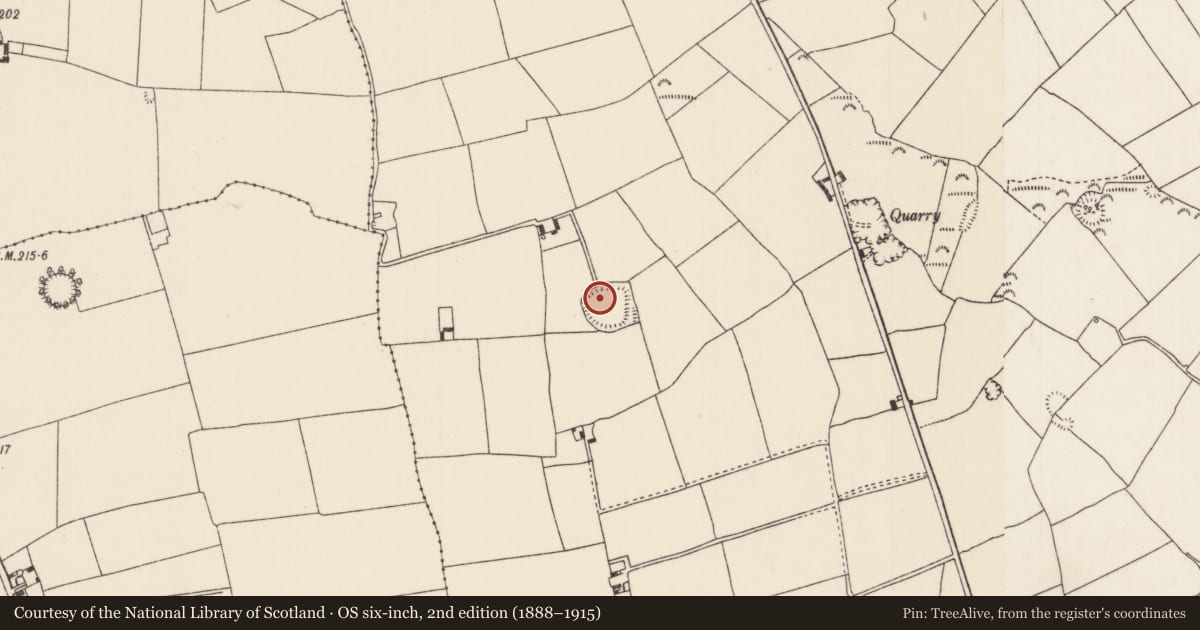 Ordnance Survey six-inch map, 2nd edition (1888–1915) covering the location of Ringfort - rath, Loughourna, County Tipperary North, with a pin at the register's coordinates