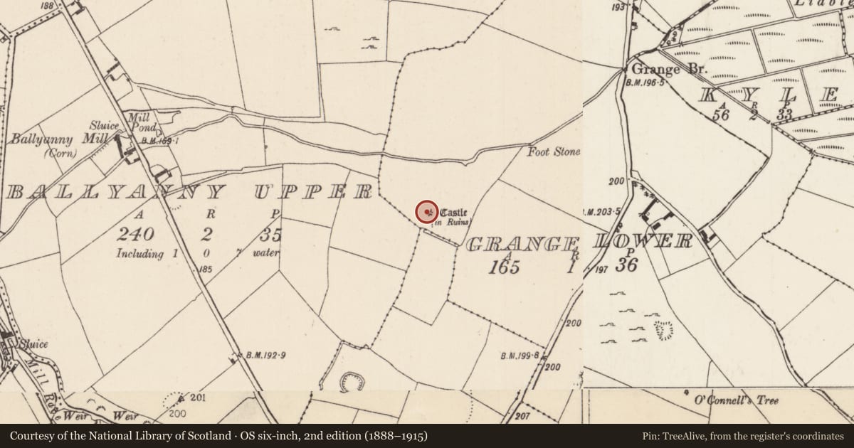 Ordnance Survey six-inch map, 2nd edition (1888–1915) covering the location of Castle - unclassified, Grange Lower, County Tipperary North, with a pin at the register's coordinates