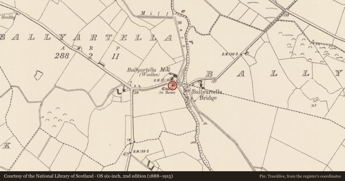Ordnance Survey six-inch map, 2nd edition (1888–1915) covering the location of Castle - tower house, Ballyartella (Monsea Par.), County Tipperary North, with a pin at the register's coordinates