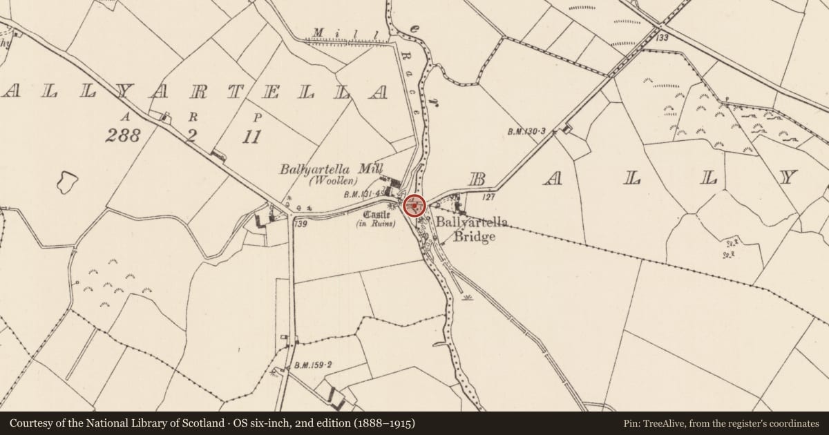 Ordnance Survey six-inch map, 2nd edition (1888–1915) covering the location of Bridge, County Tipperary North, with a pin at the register's coordinates