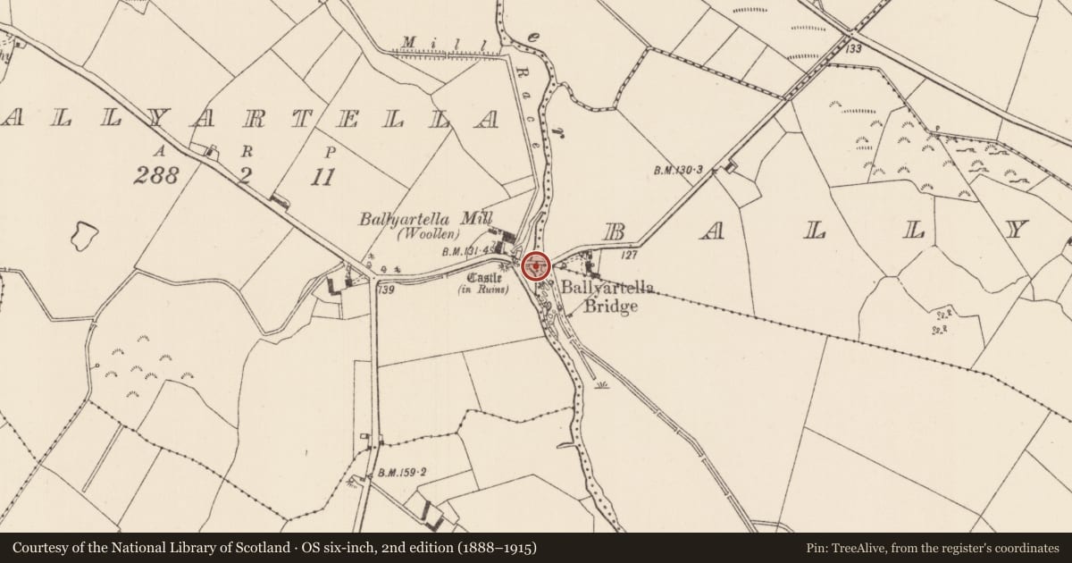 Ordnance Survey six-inch map, 2nd edition (1888–1915) covering the location of Ford, County Tipperary North, with a pin at the register's coordinates
