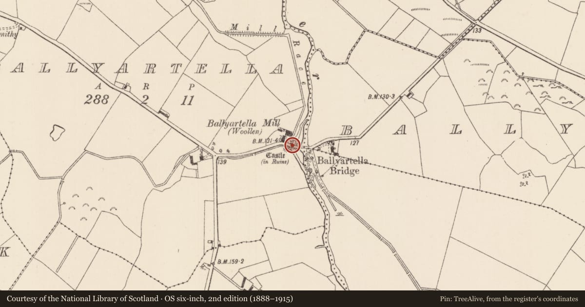 Ordnance Survey six-inch map, 2nd edition (1888–1915) covering the location of Water mill - unclassified, Ballyartella (Dromineer Par.), County Tipperary North, with a pin at the register's coordinates