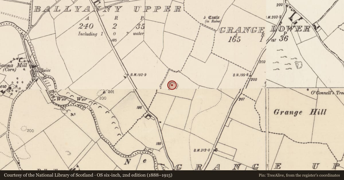 Ordnance Survey six-inch map, 2nd edition (1888–1915) covering the location of Moated site, Grange Upper, County Tipperary North, with a pin at the register's coordinates